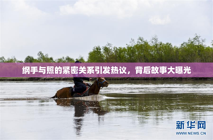 纲手与照的紧密关系引发热议，背后故事大曝光