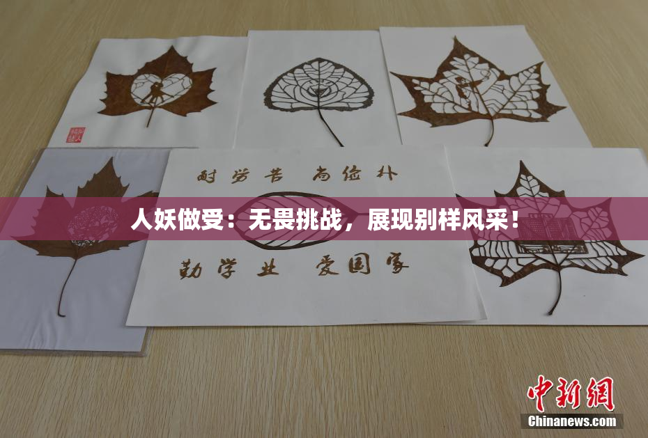 人妖做受：无畏挑战，展现别样风采！