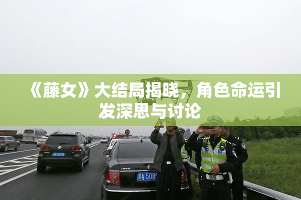 《藤女》大结局揭晓，角色命运引发深思与讨论