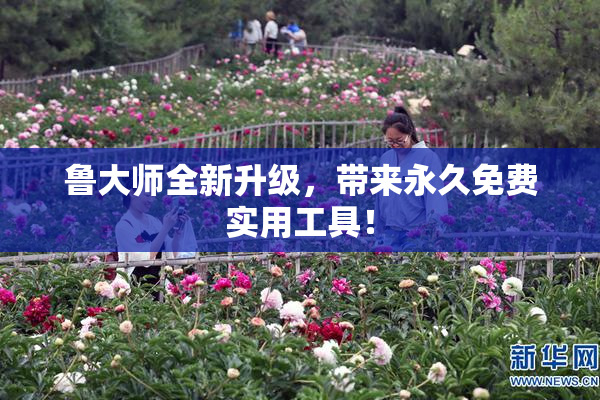 鲁大师全新升级，带来永久免费实用工具！