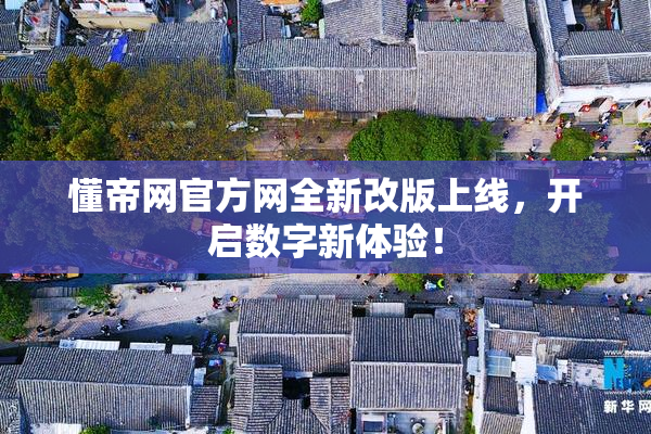 懂帝网官方网全新改版上线，开启数字新体验！