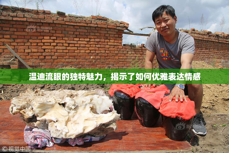 温迪流眼的独特魅力，揭示了如何优雅表达情感
