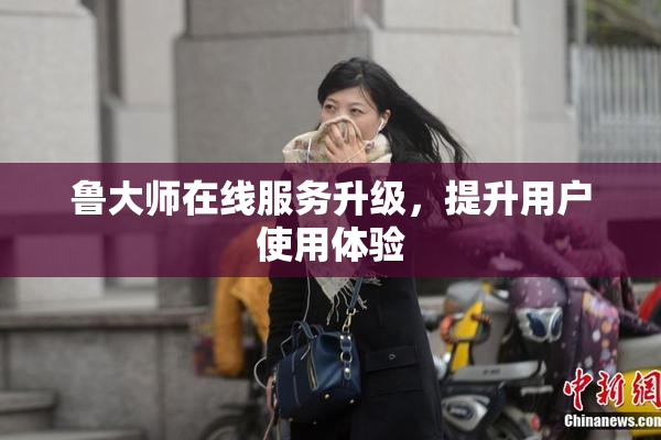 鲁大师在线服务升级，提升用户使用体验