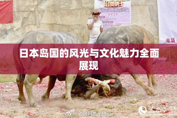 日本岛国的风光与文化魅力全面展现