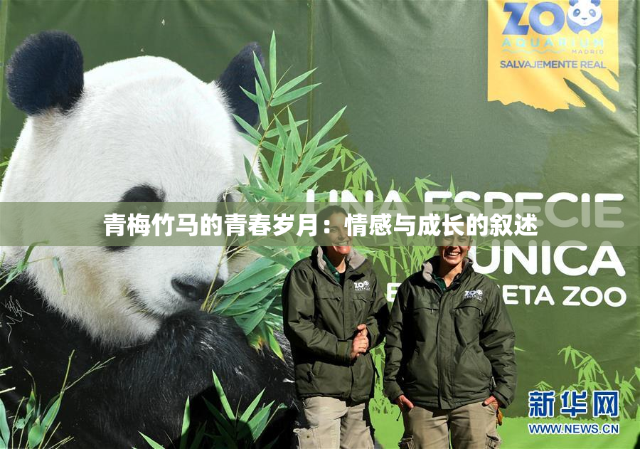 青梅竹马的青春岁月：情感与成长的叙述