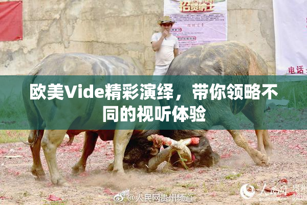 欧美Vide精彩演绎，带你领略不同的视听体验