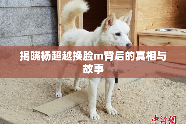 揭晓杨超越换脸m背后的真相与故事