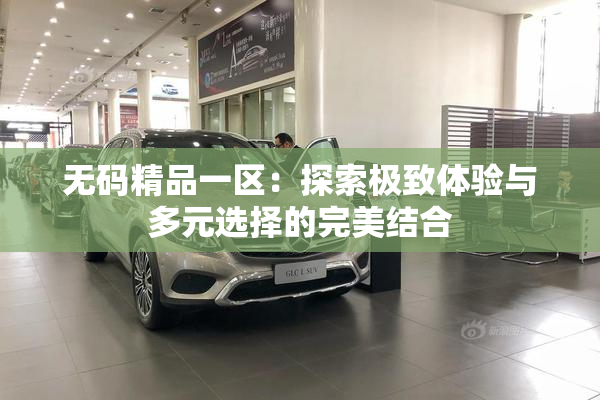 无码精品一区：探索极致体验与多元选择的完美结合