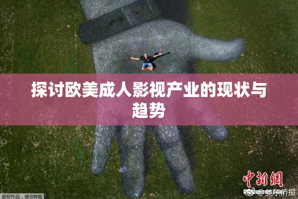 探讨欧美成人影视产业的现状与趋势