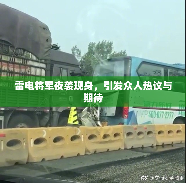 雷电将军夜袭现身，引发众人热议与期待