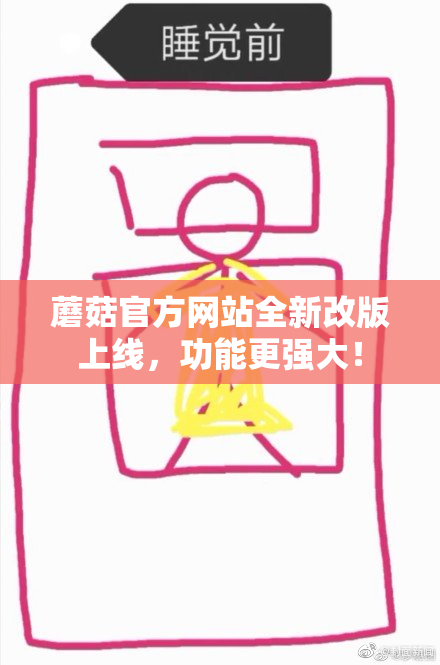 蘑菇官方网站全新改版上线，功能更强大！