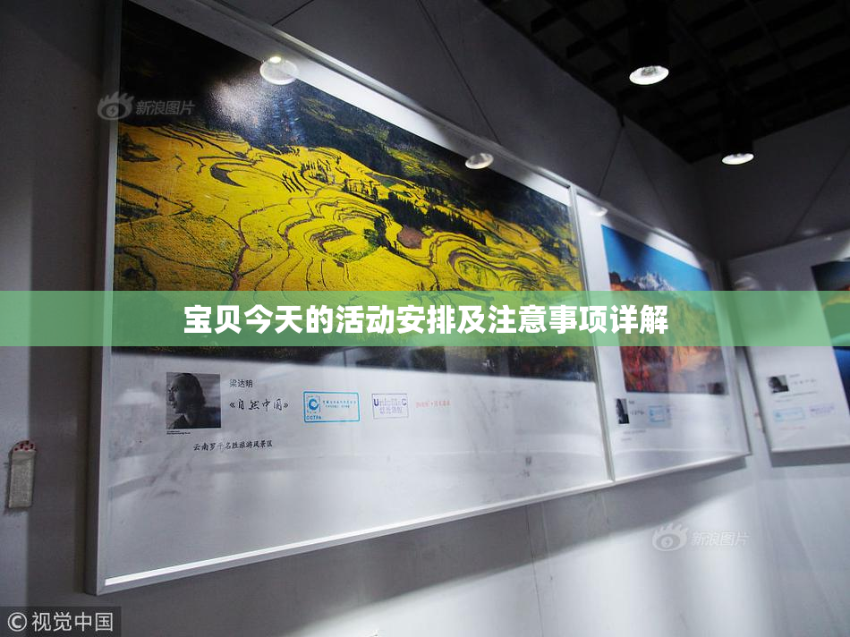 宝贝今天的活动安排及注意事项详解