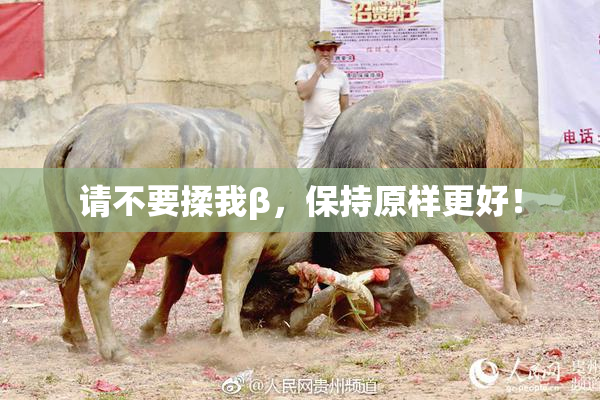 请不要揉我β，保持原样更好！