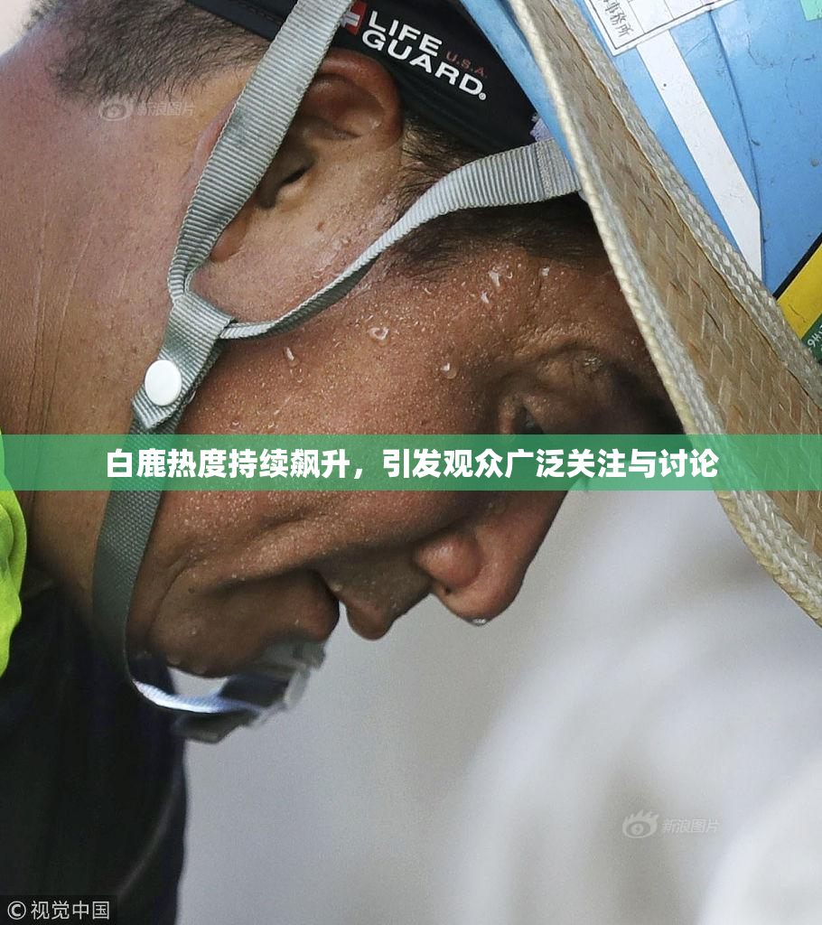 白鹿热度持续飙升，引发观众广泛关注与讨论