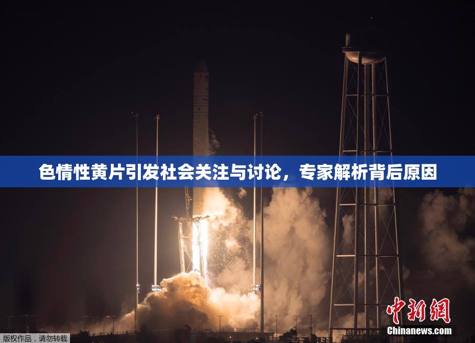 色情性黄片引发社会关注与讨论，专家解析背后原因