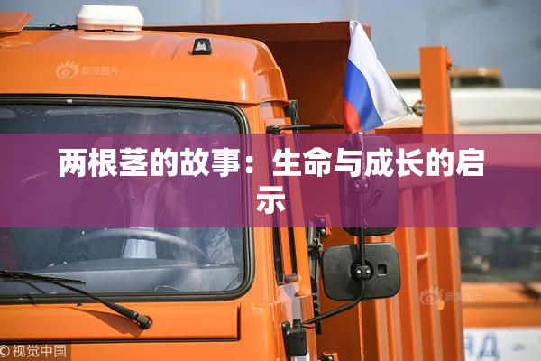 两根茎的故事：生命与成长的启示