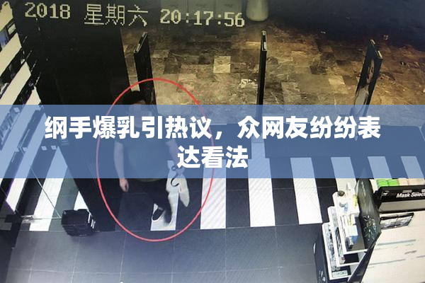 纲手爆乳引热议，众网友纷纷表达看法