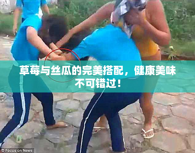 草莓与丝瓜的完美搭配，健康美味不可错过！