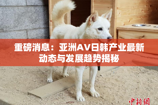 重磅消息：亚洲AV日韩产业最新动态与发展趋势揭秘