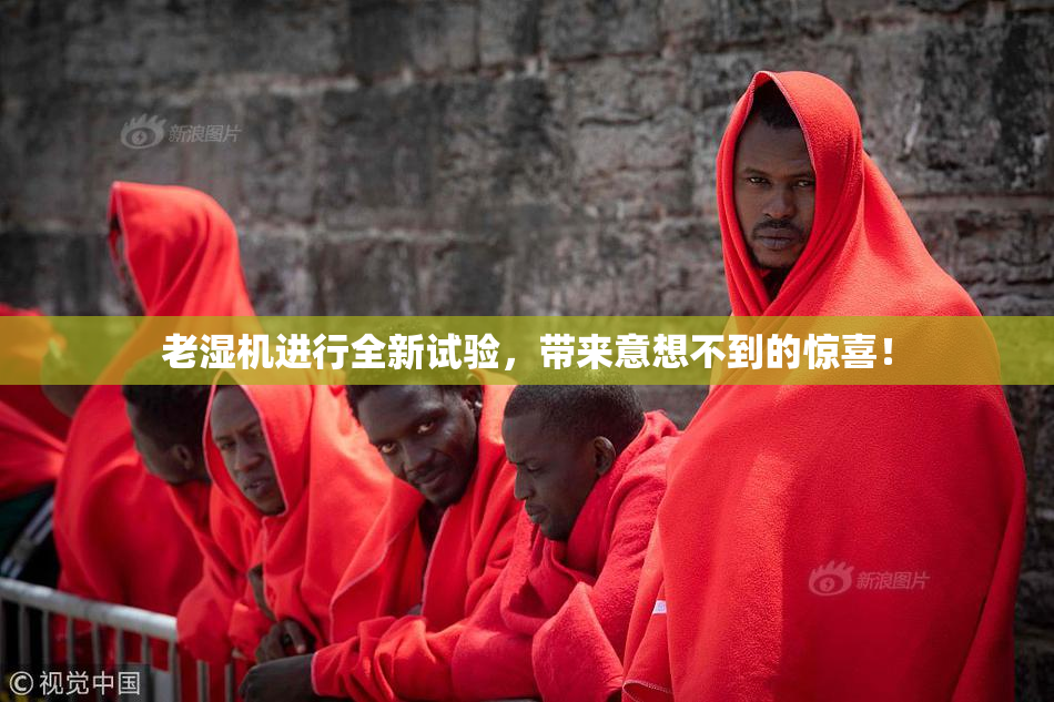 老湿机进行全新试验，带来意想不到的惊喜！