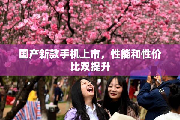 国产新款手机上市，性能和性价比双提升