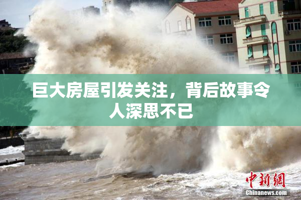 巨大房屋引发关注，背后故事令人深思不已