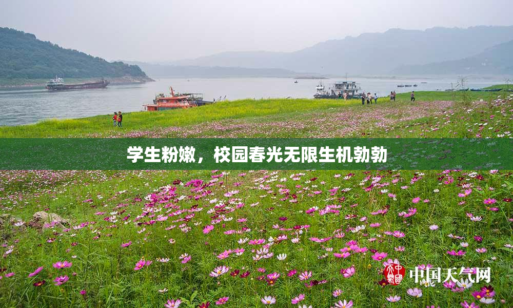 学生粉嫩，校园春光无限生机勃勃