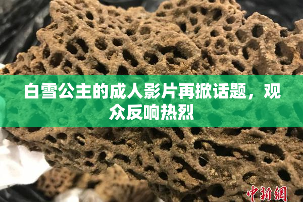 白雪公主的成人影片再掀话题，观众反响热烈