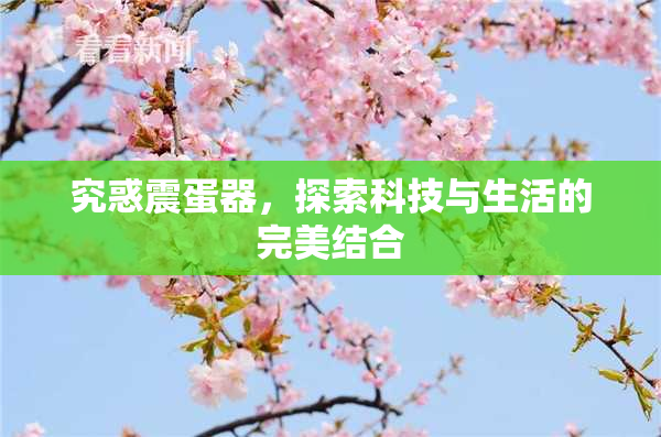 究惑震蛋器，探索科技与生活的完美结合