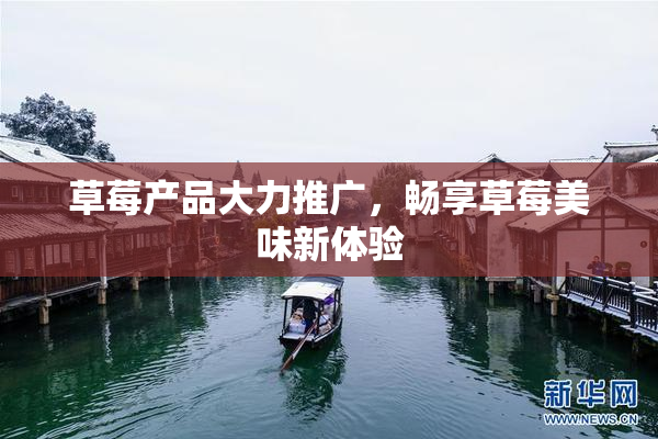 草莓产品大力推广，畅享草莓美味新体验