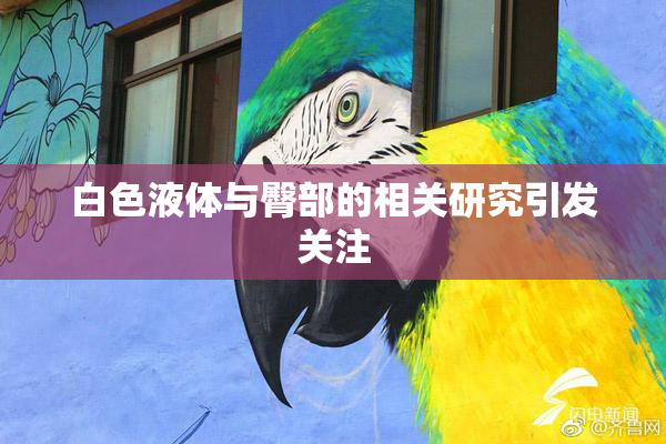 白色液体与臀部的相关研究引发关注
