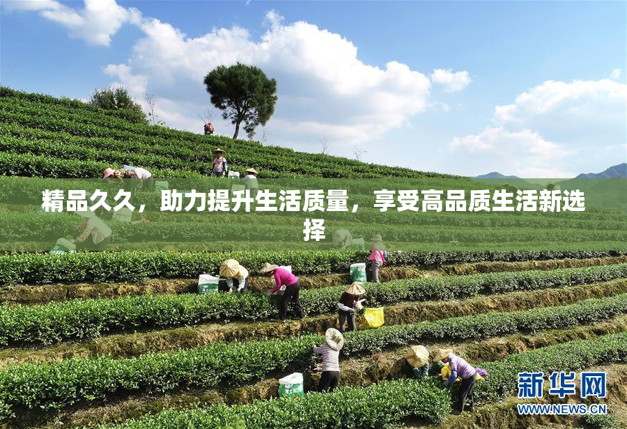 精品久久，助力提升生活质量，享受高品质生活新选择