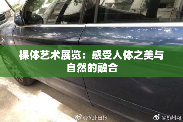 裸体艺术展览：感受人体之美与自然的融合