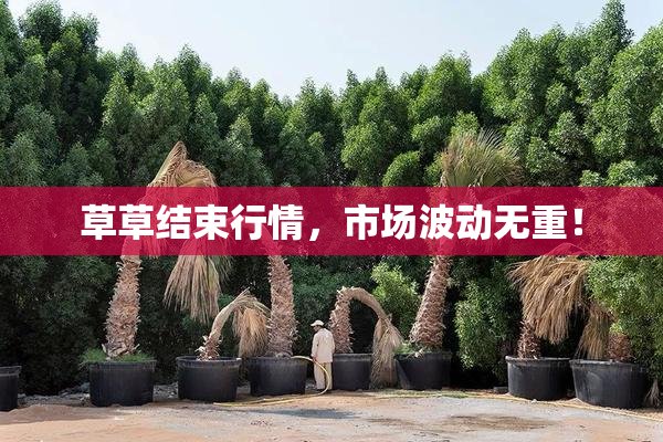 草草结束行情，市场波动无重！