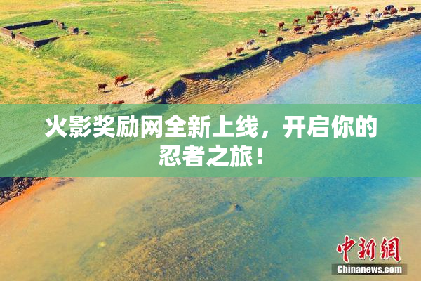 火影奖励网全新上线，开启你的忍者之旅！