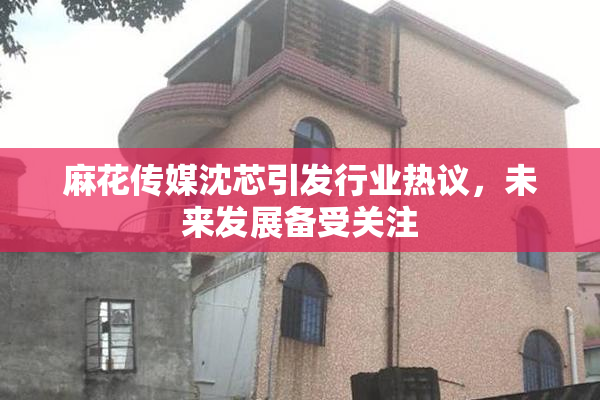 麻花传媒沈芯引发行业热议，未来发展备受关注