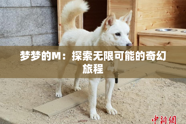 梦梦的M：探索无限可能的奇幻旅程