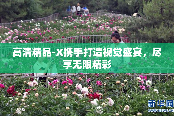 高清精品-X携手打造视觉盛宴，尽享无限精彩