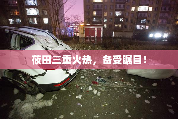莜田三重火热，备受瞩目！