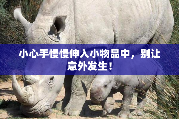 小心手慢慢伸入小物品中，别让意外发生！