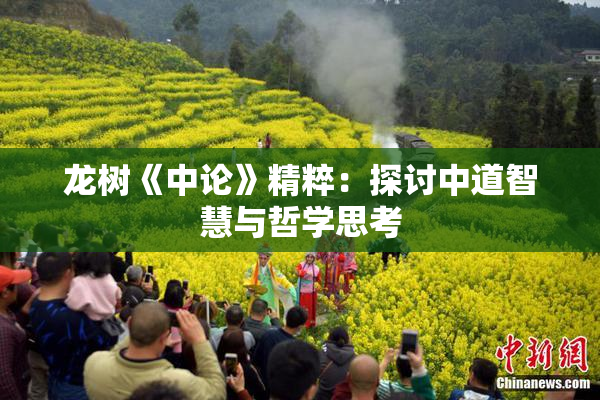 龙树《中论》精粹：探讨中道智慧与哲学思考