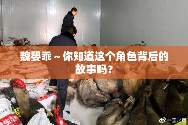 魏婴乖～你知道这个角色背后的故事吗？