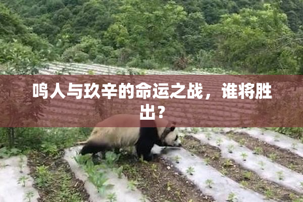 鸣人与玖辛的命运之战，谁将胜出？