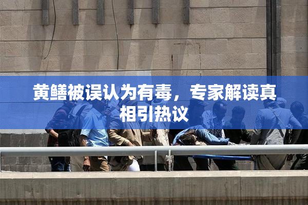 黄鳝被误认为有毒，专家解读真相引热议