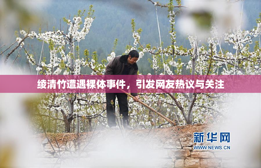 绫清竹遭遇裸体事件，引发网友热议与关注