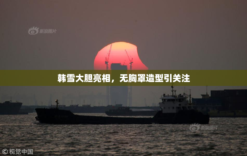 韩雪大胆亮相，无胸罩造型引关注