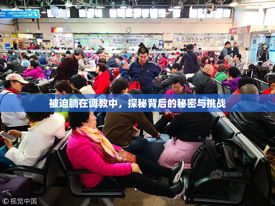 被迫躺在调教中，探秘背后的秘密与挑战