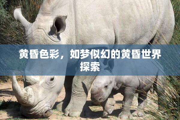黄昏色彩，如梦似幻的黄昏世界探索