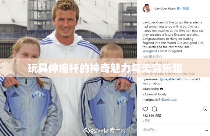 玩具伸缩杆的神奇魅力与无穷乐趣