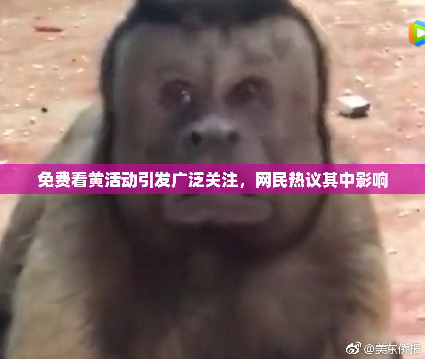 免费看黄活动引发广泛关注，网民热议其中影响